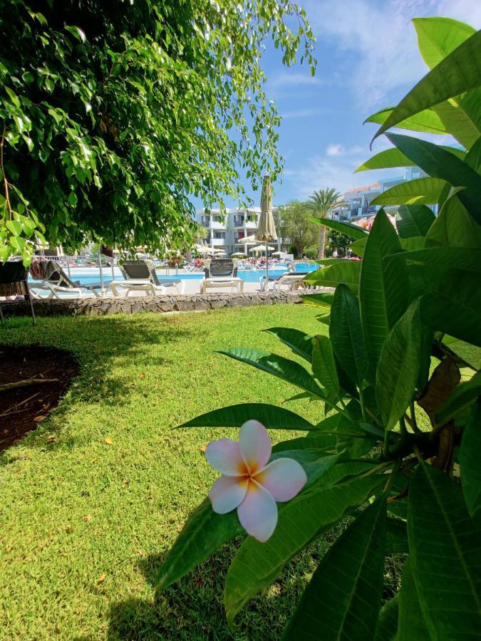 Private Apartment 150 Hg Tenerife Sur 로스크리스티아노스 외부 사진